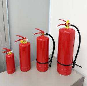 عرض المصنع: طفاية حريق ABC محمولة للسيارات، طفاية حريق بمسحوق جاف مع شهادة CE - Product Image 3