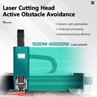 Rayther Laser 1.5KW/3KW/6KW 3015 Découpeur laser à fibre Découpeuse laser de tôle de fer Machine de découpe laser CNC pour métal acier