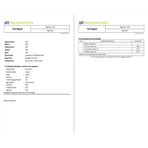AS/NZS ISO 8124 pour le rapport de Test pour les produits de jouets TEMU SHEIN Amazon Catégorie de vente Autres - Product Image 2