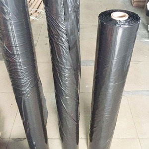 農業用マルチング<span class=keywords><strong>PE</strong></span>プラスチック作物被覆と土壌の健康のために、さまざまな穴のある農業用シルバーブラックマルチフィルム - Product Image 6