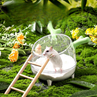 Baignoire multi-usages pour hamster avec échelle, anti-éclaboussures, transparente, grande surface, pour creuser, se baigner et faire ses besoins hygiéniques