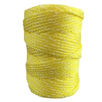 Cordon en plastique torsadé en nylon PE PP durable à 3, 4 ou 16 brins en bobine pour l'emballage maritime