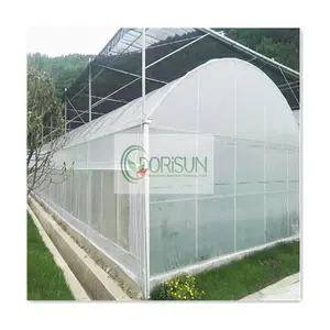 High Tunnel Agriculture Underground Hydroponics Invernadero Para Idroponia Multispan greenhouse For Sale