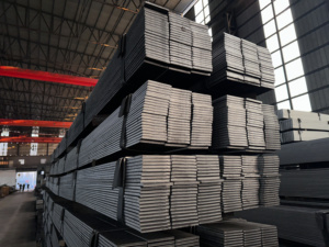 Barra Plana de Acero al Carbono Galvanizado S235JR S355JR A36 Ranurada con Orificios Laminada en Caliente - Product Image 6