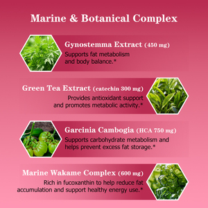 High Quality Weight loss and Burn Powder with Gynostemma Extract Supports Fat Metabolism and Body Balance Helps Reduce Abdominal - Product Image 4