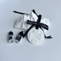 Diffuseur de parfum pour voiture, pendentif en plâtre solide, diffuseur d'huiles essentielles, aromathérapie, pierre parfumée, parfum suspendu, évaporation naturelle