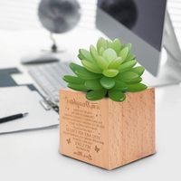 Mini plante succulente personnalisée en pot dans un décor en bois jardinière cadeaux pour anniversaire pendaison de crémaillère fête des mères coffret cadeau