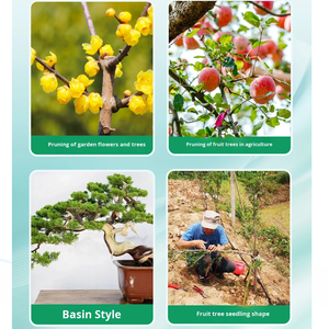 Podadora de ramas DaringFish con ángulo ajustable, herramienta de jardinería reutilizable para dar forma a árboles <span class=keywords><strong>frutales</strong></span> y bonsáis - Product Image 2