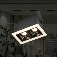 Lampe de grille encastrée carrée minimaliste noire avec bordure blanche à deux yeux pour éclairage intérieur de café et de magasin de détail
