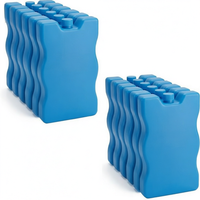 Glacière isotherme portable réutilisable avec logo personnalisé, lot de 12, pour pique-nique, boissons, fruits de mer, médicaments, chaîne du froid