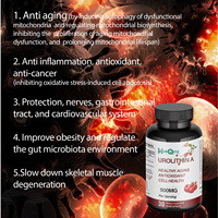 OEM Meilleur Prix Supplément Urolithine liposomale a Capsules 500mg Urolithin a Capsules