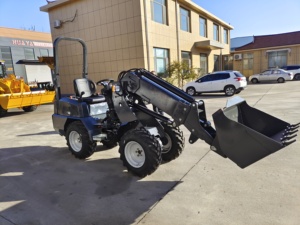 קומפקטי גלגל סין מעמיסים רב תפקודי קטן טלסקופי עבור פרויקטים הנדסיים גן וילות חוות - Product Image 3