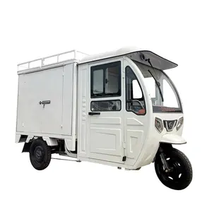 JINPENG Enclosed Container Express Electric Tricycle Other Tricycles Cargo Bike for Sale