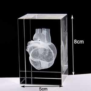 Cubo di Cristallo con Modello Umano a Cuore Inciso al Laser 3D, per Regali e Souvenir Didattici Ospedalieri - Product Image 2