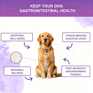 Enzymes digestives, flore intestinale, santé digestive, diarrhée et soutien intestinal, probiotiques pour chiens, friandises à mâcher molles pour le système immunitaire des animaux de compagnie - Product Image 6