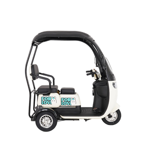 Hete Aanbieding Driewieler Elektrische <span class=keywords><strong>3</strong></span>-Wieler Elektrische Driewieler Motorfiets en <span class=keywords><strong>3</strong></span>-Wieler Elektrische Fiets Met Dak Elektrische Driewieler Te Koop - Product Image 3