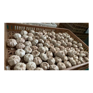 Ajo Negro Fresco 2025, Precio al por Mayor, Ajo Negro Fermentado por 120 Días, <span class=keywords><strong>Dulce</strong></span> y Delicioso, en Venta - Product Image 3