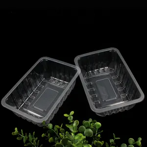 Disposable Fast Food Box Transparent Plastic Pp Packing Box Trays For Meat