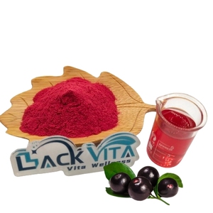 Poudre de baies d'açaï, poudre de jus de fruits d'açaï, Backvita - Product Image 1