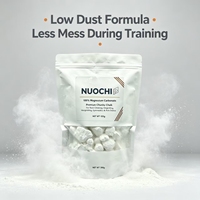 Craie d'escalade blanche à faible teneur en poussière en blocs et en poudre 100g 200g 300g pour la gym et le CrossFit, adhérence maximale, résistante à la transpiration, longue durée