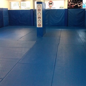 FightBro <span class=keywords><strong>Tapis</strong></span> <span class=keywords><strong>de</strong></span> judo <span class=keywords><strong>d</strong></span>'<span class=keywords><strong>occasion</strong></span> à vendre - Product Image 1