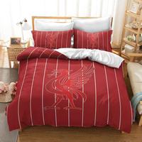 Ensemble de literie en coton 100% sur le thème du football 3D, personnalisable OEM ODM, vente en gros, housse de couette et taies d'oreiller imprimées pour garçons, sport, personnalisable