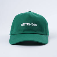 Lage profiel customisatie alle seizoenen unisex borduurlogo nieuwe outdoor katoenen hoge kwaliteit 5-delige gebogen klep pet