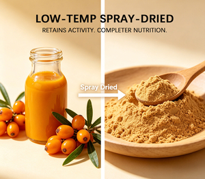 Muestra Gratuita de Polvo de Espino Amarillo 100% Soluble en Agua, Polvo de Jugo de Espino Amarillo Secado por Aspersión con Vitamina C Vegana Natural - Product Image 3