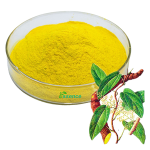 Extracto de planta Fibraurea <span class=keywords><strong>recisa</strong></span> Pierre Extracto 98% Palmatine Extracto en polvo CAS 3486-67-7 - Product Image 3