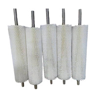 Rouleau brosse industriel Genesis personnalisé de haute qualité pour le nettoyage de vitres et le débavurage de plaques d'acier, disponible en OEM, garantie 0,5 an