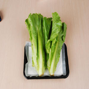 Tampon absorbant pour viande approuvé par la FDA avec SAP intégré - Product Image 1