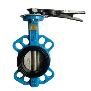 DN50 Pn10 Ductile Iron Disc 304 Soft Seal China Supplier Lug 8In Manual Handle Wafer Butterfly Valve