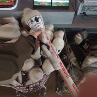 Lance-roquettes Panzerfaust Iron Fist transfrontalier en matériau PP, jouet en peluche sur le thème de la Seconde Guerre mondiale, collection historique pour le plaisir