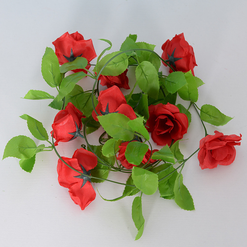 Rose rouge à 9 têtes