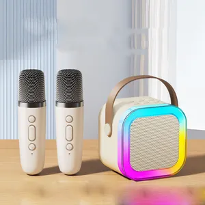 Mini ev aile şarkı Karaoke makinesi taşınabilir BT hoparlör 2 kablosuz mikrofonlar ile çocuklar için doğum günü hediyeleri