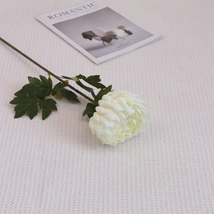 Seiden-Kunstchrysanthemen Einzelstiel Hofgarten-Landschaftsgestaltung Qingming-Festival Trauer- und Beerdigungsdekorationen Schlicht - Product Image 6