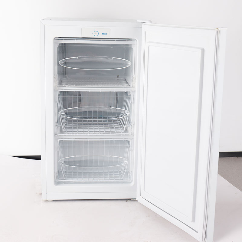 BD80 Small Single Door Freezers Upright Freezer Vertical Freezers