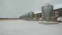 Caisse de gestation à chaud galvanisée de 7.8 tonnes pour la volaille et l'élevage nouvelle condition pour les étals de porc de truie