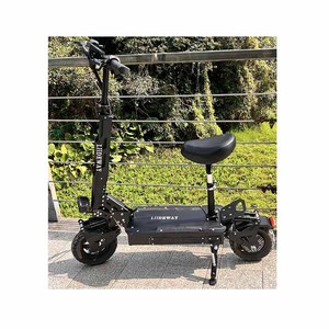 Monopattino Elettrico Fuoristrada a Due Ruote con Sedile Liideway Motore Potente da 2000W Monopattino Elettrico per Adulti Ruote da 10 Pollici - Product Image 1