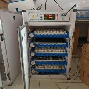 Bán buôn bán Hot New mô hình điện kép PVC-68 trứng lồng ấp giá rẻ trứng nở máy để bán - Product Image 5