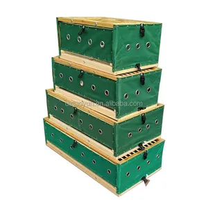 TUOYUN Good Quality Sale 1 Year Cages For Pigeon Breeding Racing Pigeons Nest Boxes Wooden
