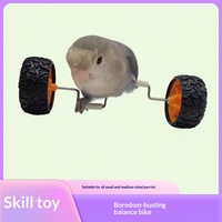 Jouet pour perroquet anti-ennui : Voiture d'équilibre pour oiseaux de petite et moyenne taille, accessoire d'entraînement à la maniabilité, jouet pour calopsite