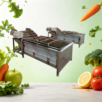 Multifunctionele/Hogedruk industriële wasmachine voor sla/aardbeien/selderij/paprika met belletjesreiniging