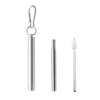 Ensemble de pailles télescopiques réutilisables en acier inoxydable pour les voyages en plein air, portables, pour étudiants, avec conception en trois sections, couleurs assorties