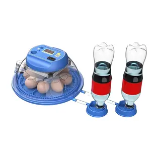 Sintonizador Digital automático para pollos, máquina de incubación de huevos pequeños, 8 huevos, para pollo, pato, codorniz, Paloma