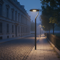 Lampadaire LED extérieur, éclairage public pour projets d'éclairage de voirie, luminaire routier pour le marché marocain