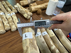 Jouet à mâcher pour chien en bois de café, naturel et biologique, durable, pour le nettoyage des dents, bâton à mâcher, fabrication directe d'usine OEM, Vietnam, taille M - Product Image 4