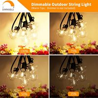 Guirnalda de Luces Navideñas de 30m con 50 Bombillas LED Resistentes a los Golpes, Grado Comercial, Plástico Impermeable, Luces Colgantes para Bistro y Jardín