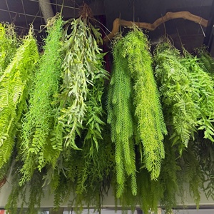 Plantas Artificiales de Seda Colgantes, Arreglos de Pared, Musgo Persa, Plantas Aéreas, Instalaciones de Jardín Vertical para Interiores - Product Image 1