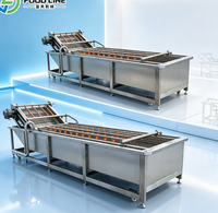 Bellenwasmachine met doseerpomp voor industriële fruit- en groentelijn